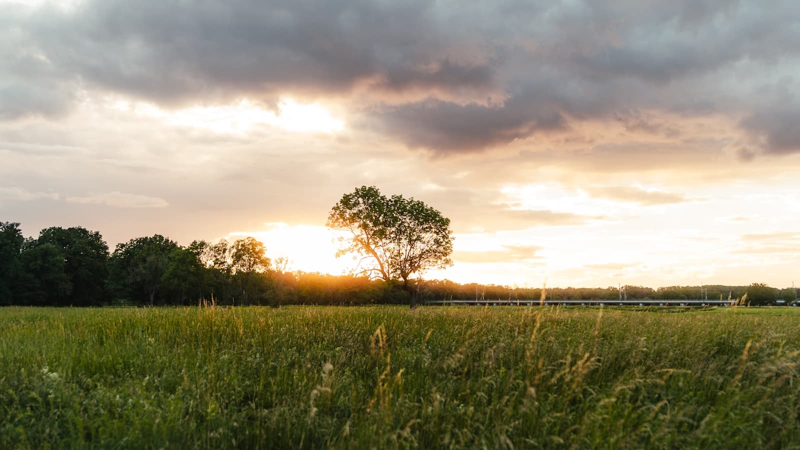 Ideas for Planning An Outdoor Funeral